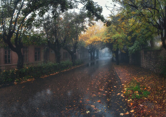 An empty country asphalt road through the trees and village in a fog on a rainy autumn day. Road trip, transportation, driving. Wet foggy autumn street in Zheleznovodsk. Russia.