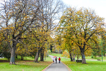 people walking in park with autumn surround and colorful of tree, yellow tone color, wide screen