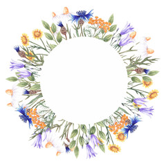 Watercolor frame with wildflowers chamomile, thistle, poppy, bell, cornflower and herbs. Round   frames for the design of wedding invitations, gift cards, labels.