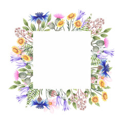 Watercolor frame with wildflowers chamomile, thistle, poppy, bell, cornflower and herbs.  Square frames for the design of wedding invitations, gift cards, labels.