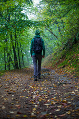 Obraz premium Outdoor tourist in the foggy forest 