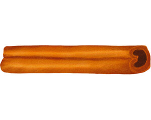 Watercolor cinnamon stick