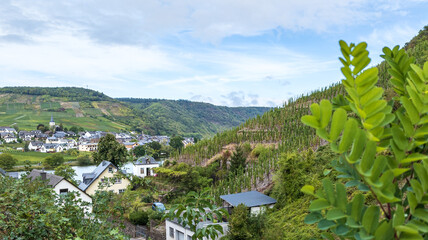 View from the castle in Beilstein to the Moselle, Germany, Rhineland.