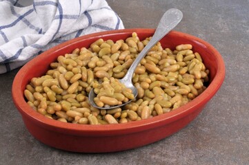 Flageolets cuisinés dans un plat avec une cuillère en gros plan