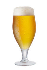 glass of beer isolated on transparent background - 543840384