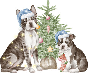 Boston terrier dogs with Christmas tree
