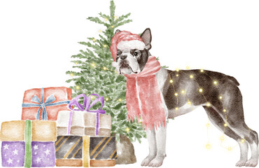 Boston terrier dog with Christmas tree