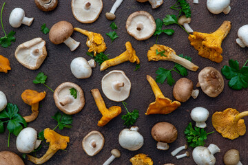 different types of edible mushrooms, chanterelle, champignon, shiitake and shimeji