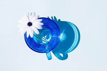 A blue glass of water and flower with sharp strong shadow on blue background