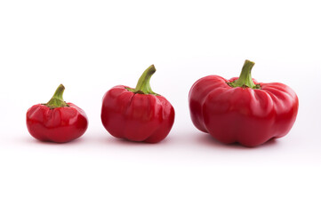 Three red peppers lined up in order of growth on a white background