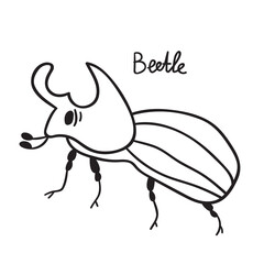 Insect. Beetle. Hand drawn outline illustration on white background