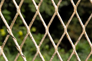 Fototapeta premium 金網2