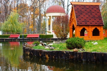 lake with ducks in the park