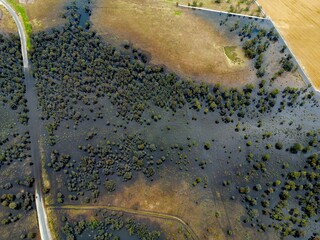 Rural, Murray River, Riverina, Irrigation, Flood, Deniliquin, Crop