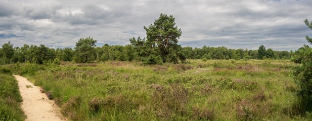Green Dutch panorama landscape during rainy weather © kristof Leffelaer
