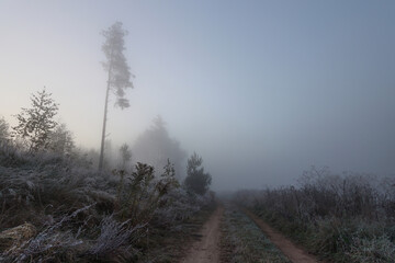 River bank in the morning in the fall with fog.	