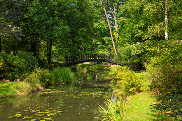 Fototapeta na wymiar A small bridge over a stream in the park. Romantic wallpaper.