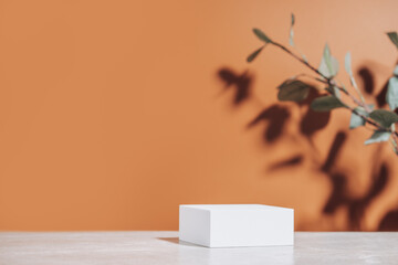 Natural empty background for cosmetic product presenation, packaging mockup made with white square...
