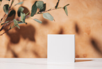 Obraz premium Natural empty background for cosmetic product presenation, packaging mockup made with white square podium and eucalyptus. Minimal nature scene. Front view, copy space.