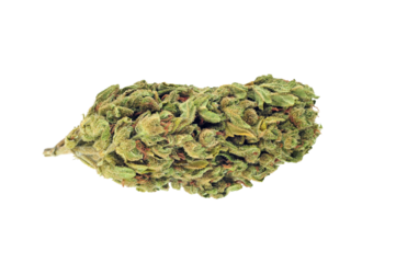 Cannabis bud isolated on transparent background