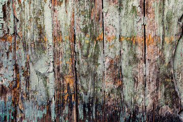 Weathered green wood with corrosion of an old fence with planks
