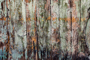 Obraz premium Weathered green wood with corrosion of an old fence with planks