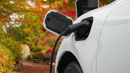 Progressive eco-friendliness concept of electric car, EV car powered by clean and sustainable...