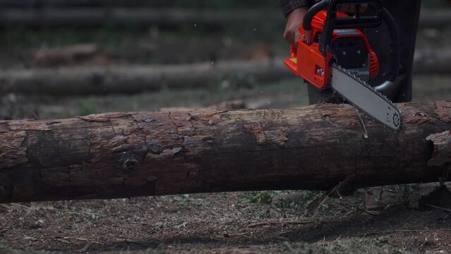 Man sawing wood with a chainsaw with a lot of flying chips and slivers. Lumberjack cut trees using an electrical chainsaw. 