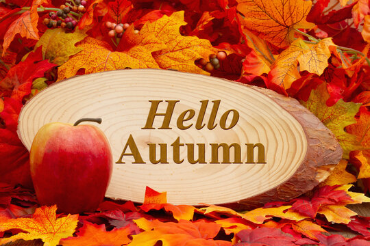 Hello Autumn wood sign with an apple and fall leaves
