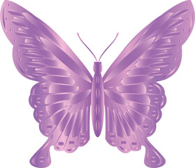 purple butterfly drawings 3d png illustration