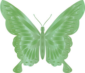 green butterfly drawings 3d png illustration