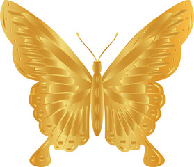 gold butterfly drawings 3d png illustration.