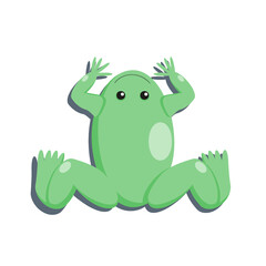 Green frog cartoon character on white background with shadow, vector isolated.
