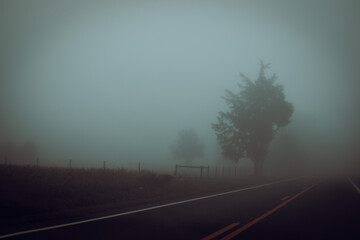 Fog on a road in a field in the morning