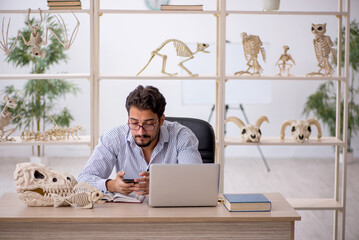 Young male paleontologist examining ancient animals at lab