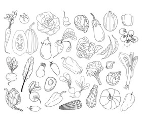 Outline Vegetables vector set. Black Linear harvest illustration. Scandinavian style. Healthy food