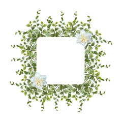 Floral arrangement, green leaves and delicate white rose flower on white background. Wedding design element. Festive flower composition. Postcard design.  Frame leaves. Copy space..