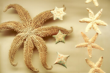 Starfish on a beige pastel background (Wild Wonder). Sea background, pattern, abstraction. Soft focus, blur. Modern Flat Design Postcard.