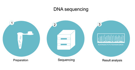 The DNA sequencing workflow (preparation, sequencing and result analysis) for DNA sequencing detection that represented in the icon concept of blue and white