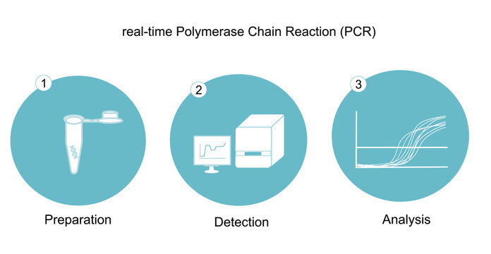 The important workflow (preparation, detection and analysis) of real-time Polymerase Chain Reaction (PCR) for DNA detection that represent in the icon concept of blue and white