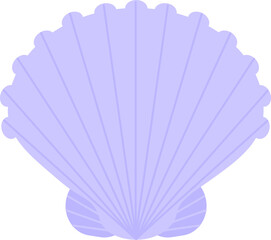 Hand drawn style ocean Sea Shell
