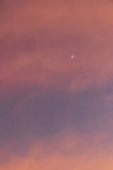 Crescent moon on beautiful sunset sky background.