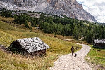 Typical meadow with a hay shed in the Dolomite Alps in the Fanes Sennes Prags Nature Park, South...