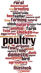 Poultry word cloud