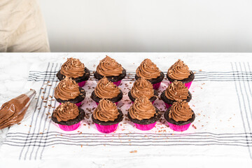Chocolate ganache cupcake