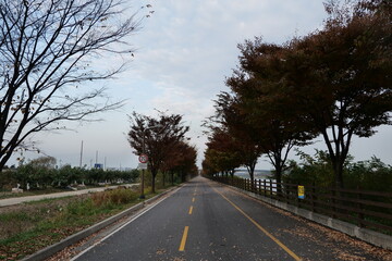 Fototapeta premium 길거리, 간선도로, 경관, 아스팔트, 나무, 나무, 여행, 거리, sky, 네이처, 국가, 가을, 길, 나무, 곡선, 드라이브, 여름, 교통, 구름, 농촌, 가을, 운전, 여행