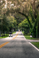 cars driving on hilly road through the forest