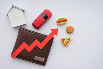Home, car, food, wallet and commodity price, monthly payment graph chart rising up on white...