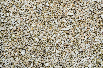 Stones background. Colorful pebbles. Delicate wallpaper.