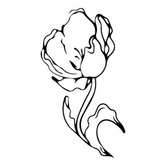 Flower One Line Drawing. Continuous Line of Simple Flower Illustration. Abstract contemporary Botanical Design Template for Minimalist Covers, t-Shirt Print, Banner, Cover. Vector EPS 10.